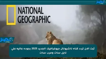 ثبت الآن تردد قناة ناشيونال جيوغرافيك الجديد 2025 بجودة عالية على نايل سات وعرب سات